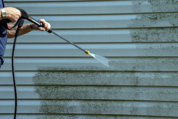 Best Affordable Pressure Washing  in Skagway, AK