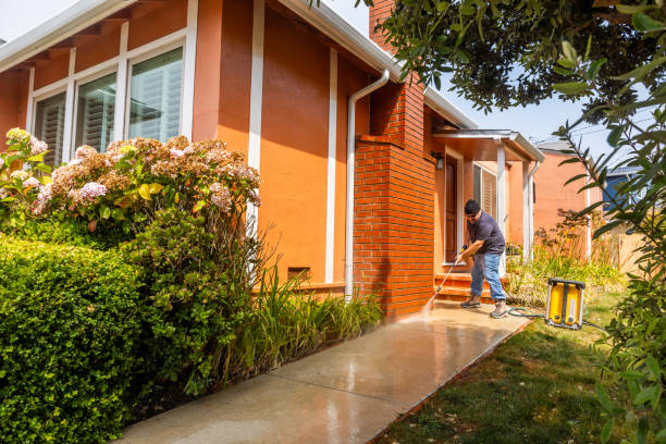 Best Deck Cleaning Services  in Skagway, AK