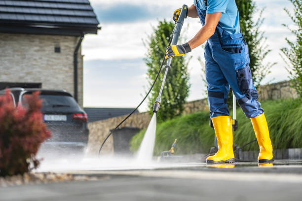 Best Roof Pressure Washing  in Skagway, AK